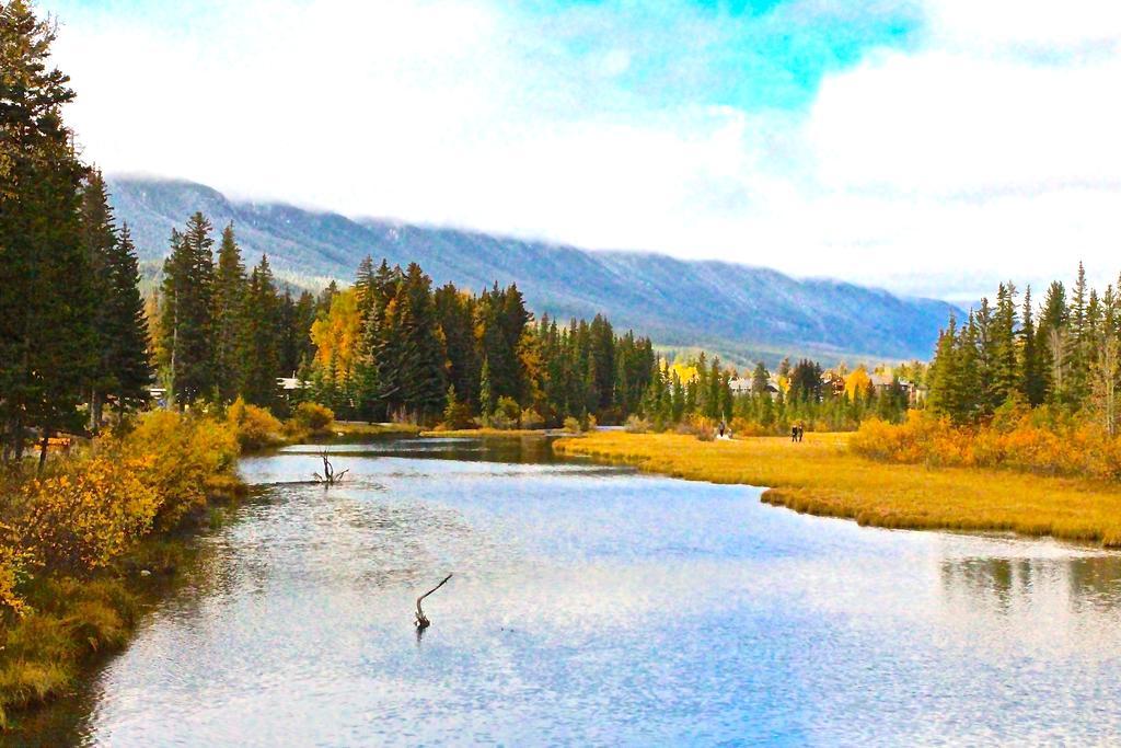 Luxury Canmore Vacations Екстер'єр фото